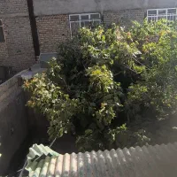 پیلوت اجاره ای
