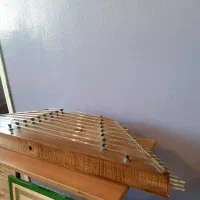 2 عدد سنتور و کیف سنتور|سازهای سنتی|رشت, گلسار|دیوار