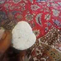 فروش تعدادی فسیل مرجانی چند صدساله|کلکسیون اشیاء عتیقه|محمدیه-قزوین, |دیوار