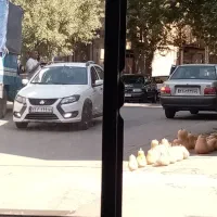 صدور آنی انواع بیمه