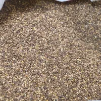 کنجد شسته شده و بوجاری شده