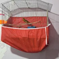 فروش قناری نر و یک جفت قناری باغی|پرنده|بوشهر, |دیوار