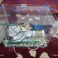 آکواریوم با همه لوازم 900 فروش فوری|ماهی|مشهد, موعود|دیوار