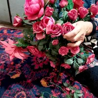 گل  خیلی قدیمی  توروخدا بخریدش خیلی گرفتارم