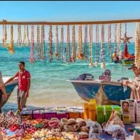 تورقشم ازمیاندواب