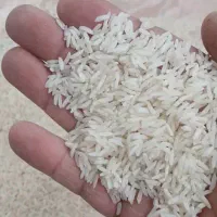 برنج طارم هاشمی اصیل محمودآباد|خوردنی و آشامیدنی|تهران, بوستان سرخه حصار|دیوار