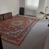 موکت در حد نو