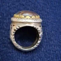 انگشتر شجر نقره واقعا تک ، سایز 63،|کلکسیون اشیاء عتیقه|بومهن, |دیوار