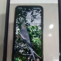 گوشی سامسونگ A10S