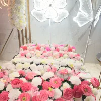 تولید فروش و اجاره تجهیزات جشن