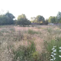 نیازمند خانم جهت نظافت ویلا