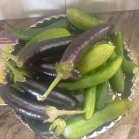 فروش