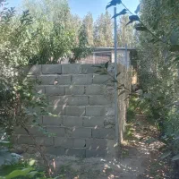 دامداری آماده مشارکت|مشارکت در ساخت املاک|هشتگرد, هشتگرد قدیم|دیوار