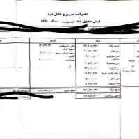 فیش حقوقی