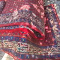 فرش وکناره فرش دستبافت|فرش|شیراز, کوزه گری|دیوار