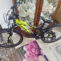 دوچرخه ویوا اصلی