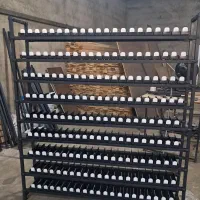 شلف باکس سیگار رگال شلنگ قلیون میز  استند قفسه