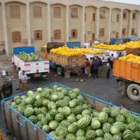 حمل محصولات کشاورزی بهترین قیمت سراسر کشور