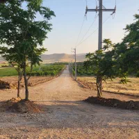 نگهبان باغ