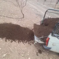 خدمات کشاورزی
