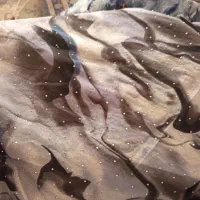 انواع پارچه ۳/۵ متری قیمت ۳۵۰ و ۳۰۰|لباس|اردبیل, |دیوار