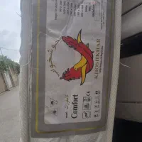 تشک تخت نوجوان