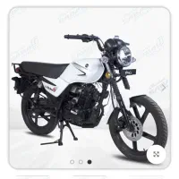 باکسر لوکی ۱۸۵