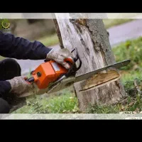 برش و هرس کردن درختان خدمت شما