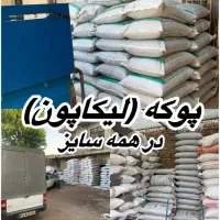 پوکه. لیکاپون. هیدروپونیکـ