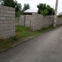 زمین۲۵۰ سند دار واقع در بشمن