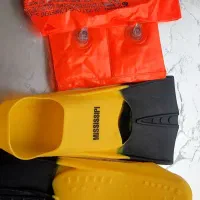 یک عدد فین شنا همراه با بازوبند