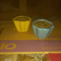 گلدانهای سرامیک مدلهای مختلف