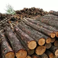 خرید چوب باغی مصالح ای به قیمت بالاو نقد