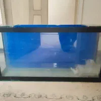 آکواریوم شیشه‌ای