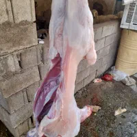 گوشت کبابی و خورشتی تُرد و خوشمزه فروشی