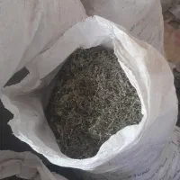 کاکوتی
