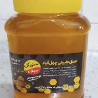 عسل چهل گیاه طبیعی 1کیلویی