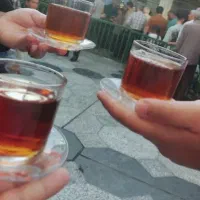 3عدد فیش موجوده
