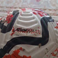 توپ فوتبال|ورزش‌های توپی|کرج, ساماندهی|دیوار