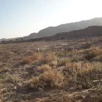 قلعه-صدری-زمین-های-اوقافی-باسند-اوقاف