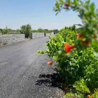 باغچه درختی قدیمی آب کشاورزی برق|فروش زمین و ملک کلنگی|شهریار, رنگرز|دیوار