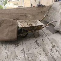 فرقون
