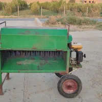آفتابگردان کوب  کم کار