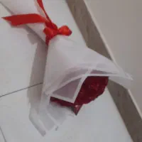 تخفیف تا ۲۵ م|گل مصنوعی|کرمانشاه, |دیوار