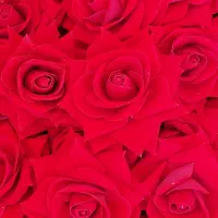 *گل رز سوپر قطر۱۴ سانت مخمل*|گل مصنوعی|سیاهکل, |دیوار