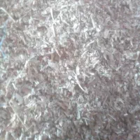 پوکه نجاری|حیوانات مزرعه|سراب, |دیوار