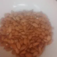 بادم جرگ