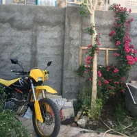 موتور تریل روان اصلی