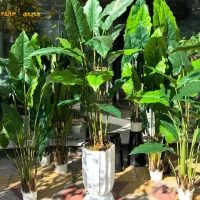 درختچه مصنوعی وارداتی|گل مصنوعی|زاهدان, |دیوار