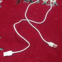 ساعت|ساعت|دوگنبدان, |دیوار